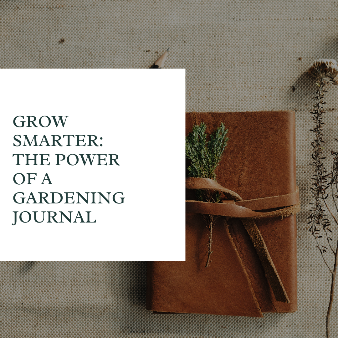 Grow Smarter: The Power of a Gardening Journal