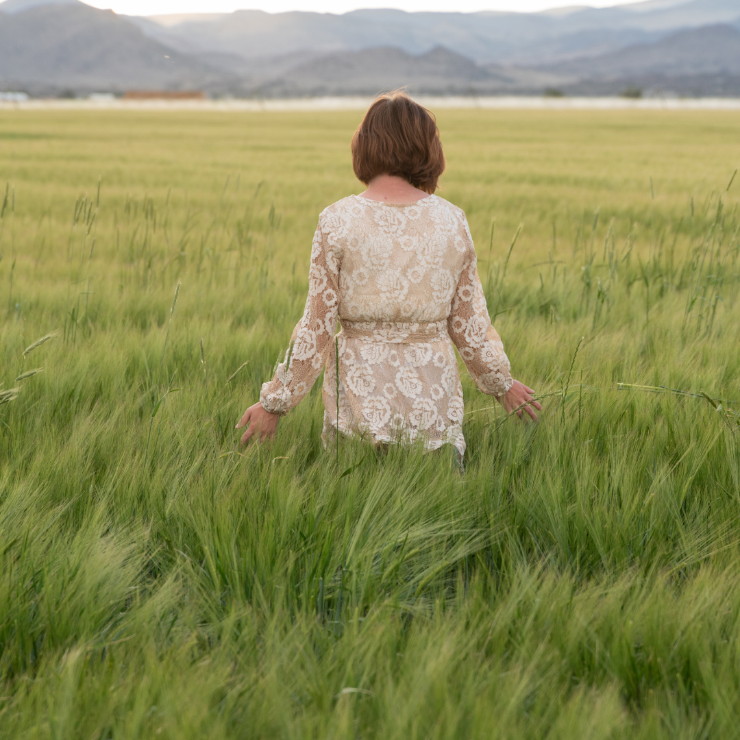 Dahlia Fields + Farm Photography Session - 1  hour