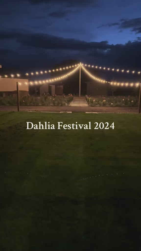 SOLD OUT! Dahlia Nights at Bloomstead Farms